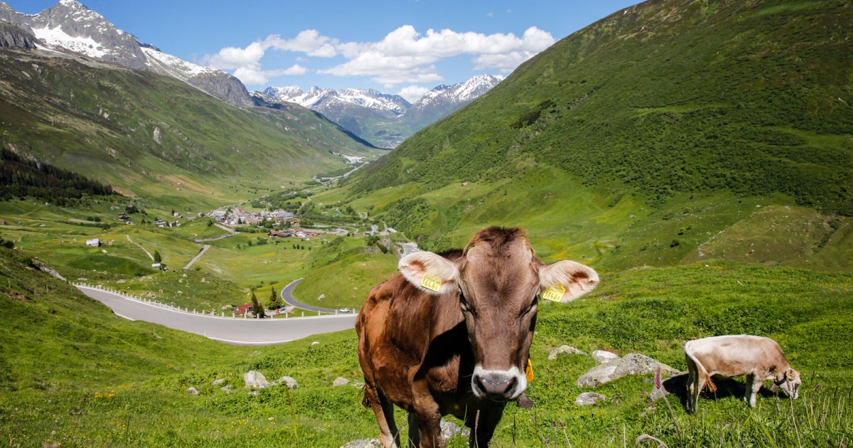Alperna - Tre pass till Italien | Husbil & Husvagn