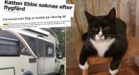 Husbil och tidningsklipp intill bild på svart-vit katt på pinnstol.