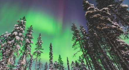 Norrsken över snöig skog på ställplats för husbil