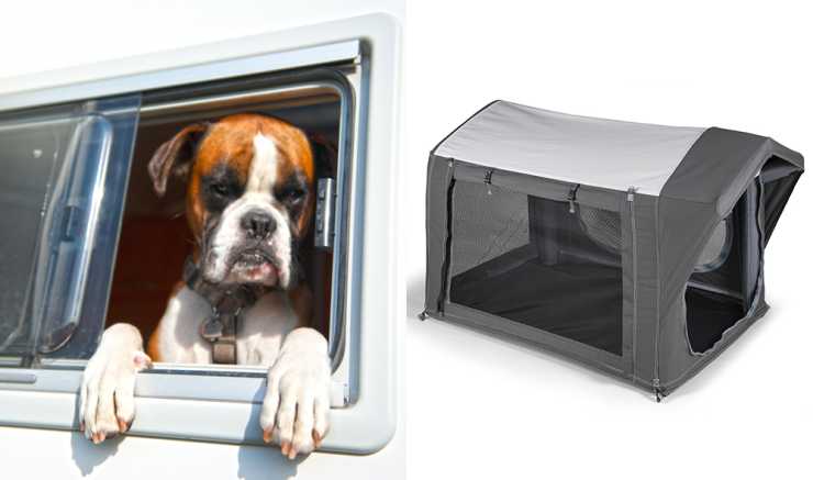 Boxer tittar ut ur husbilsfönster plus bild på hundtält från Dometic