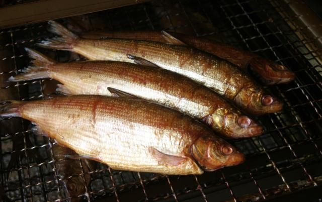 Spiken fiskehamn kallandso 4