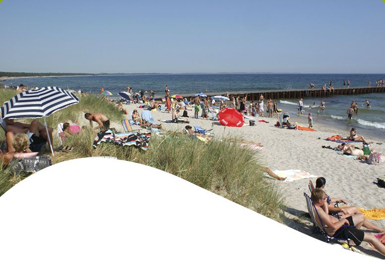 Sandskogens camping start1