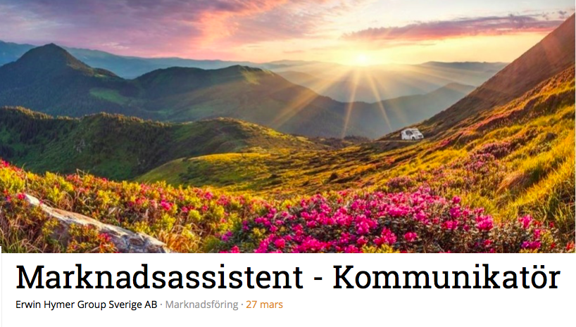 skarmavbild_2017-03-19_kl._11.21.16.png