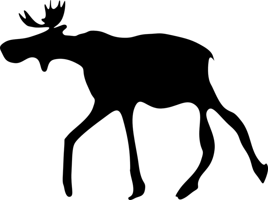 elk-47343_960_720.png
