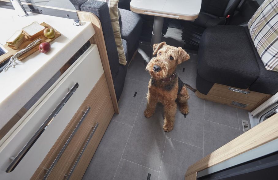 Niesmann bischoff arto ny planlosning mer utrymme inte bara for hunden