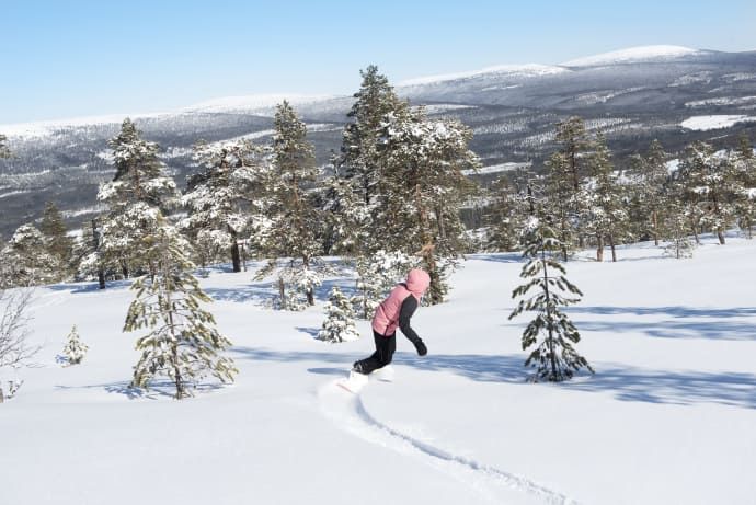 Stöten i Sälen har 21 liftar och 47 nedfarter. Mormors störtlopp är Dalarnas- och Sälens längsta nedfart med 3 060 meter.