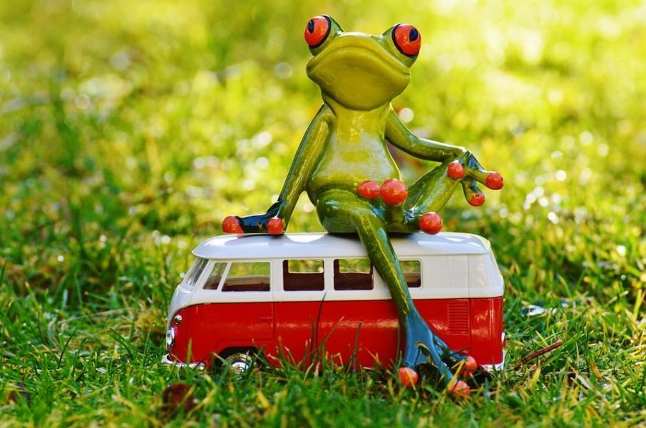 Frog 1109777 960 720