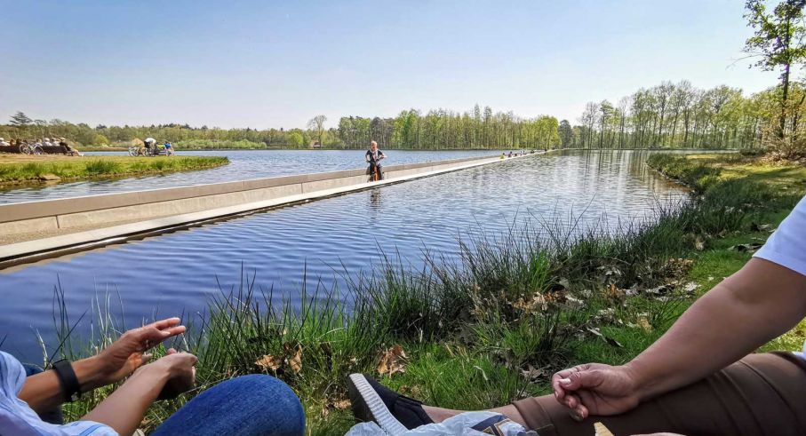 En annorlunda cykelväg där man på mitten av sjön hamnar i huvudhöjd med sjöfåglarna.