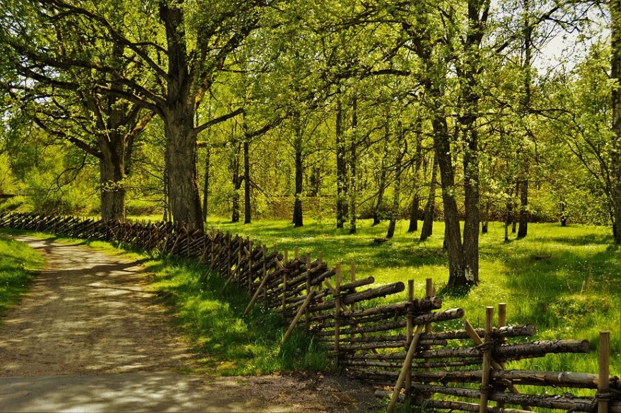Fence 2302325 960 720