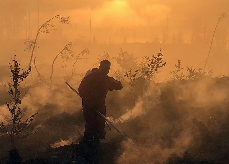 1024px efterbevakning vid skogsbrand