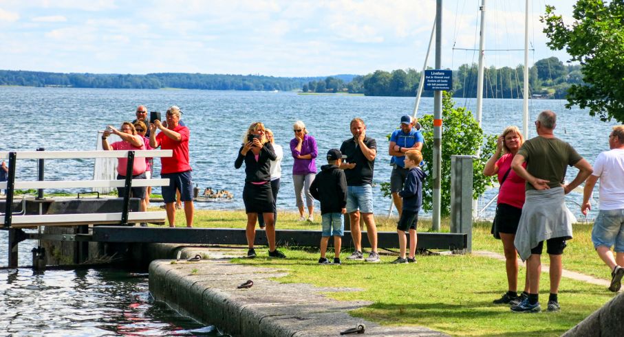 Inte röda mattan, men varning för paparazziplåtning när du färdas på det blå bandet. Särskilt i Borenshult.