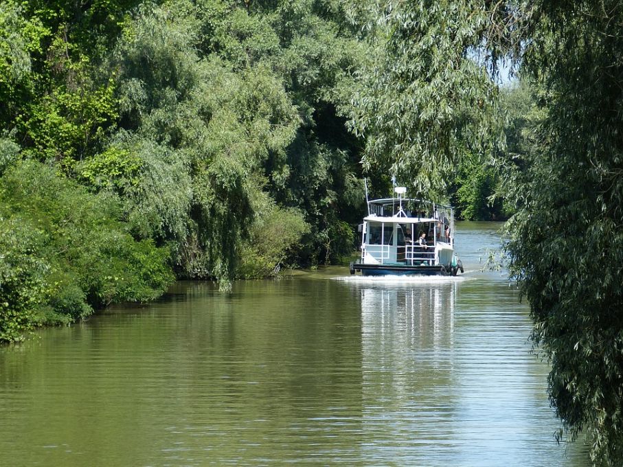 Donaudeltad i nordöst är ett grönskande paradis Bildcred: Pixabay