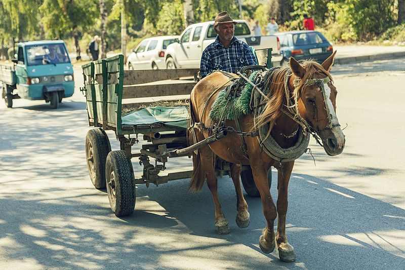 Häst och vagn är fortfarande ett vanligt transportmedel och det gäller även större vägar. Bildcred: Wikimedia / anonymouse1