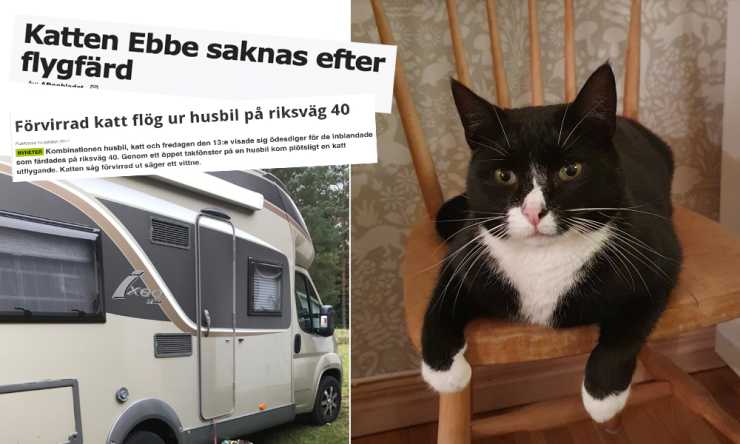 Husbil och tidningsklipp intill bild på svart-vit katt på pinnstol.