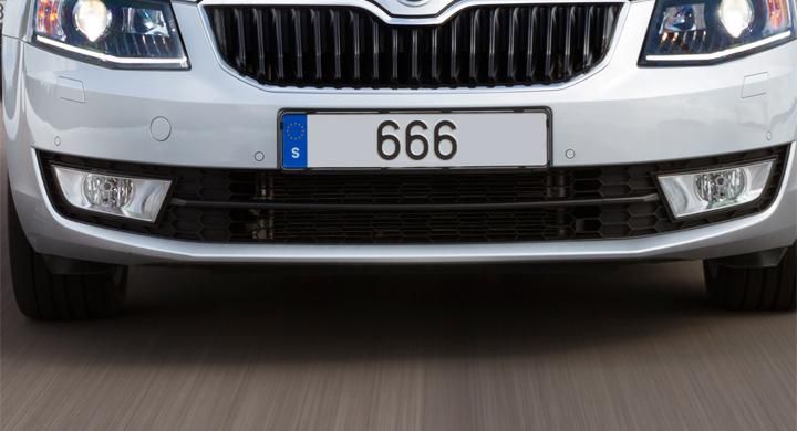 666 registreringsskylt 01
