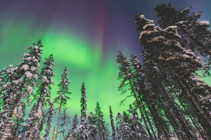 Norrsken över snöig skog på ställplats för husbil